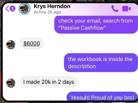 Krys Herndon — made $20K in 2 days